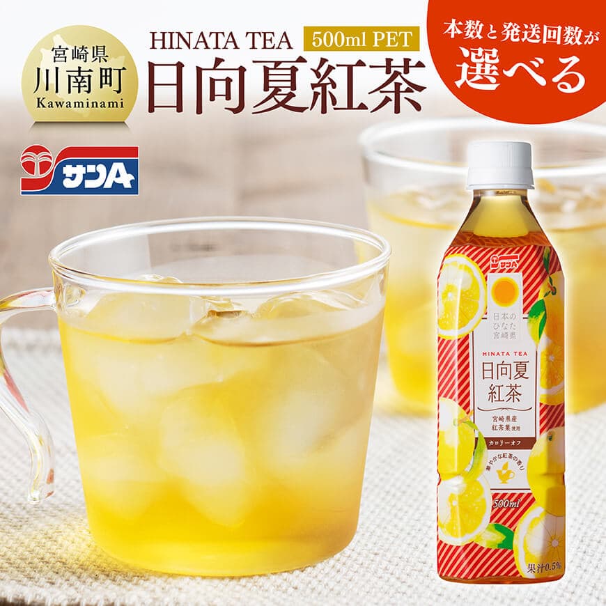 ※本数と回数が選べる※ サンA日向夏紅茶HINATA　TEA500mlＰＥＴ- 飲料 日向夏 紅茶 PET ジュース 長期保存 送料無料