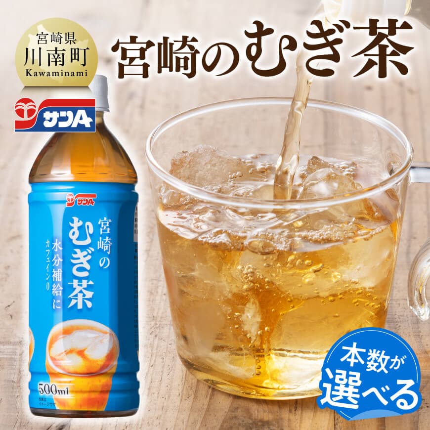 ※本数が選べる※ サンA宮崎のむぎ茶 500ml PET - 飲料 お茶 麦茶 宮崎県産 ペットボトル 水分補給 長期保存 備蓄 お届け お取り寄せ 送料無料 宮崎県 川南町 C03039 C03040