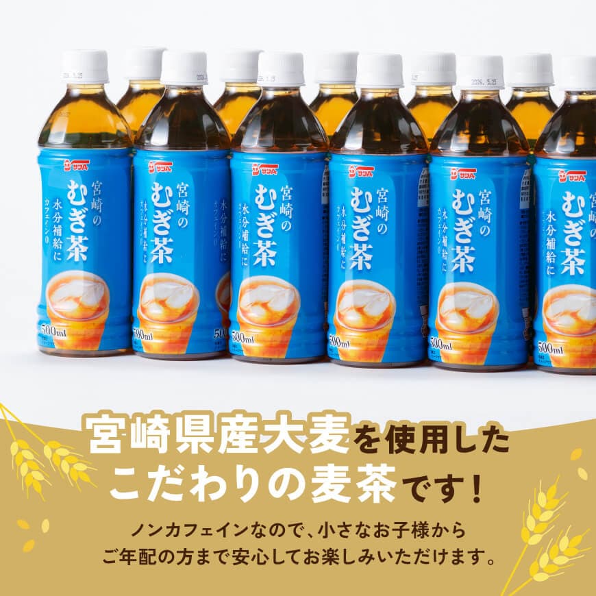 ※本数が選べる※ サンA宮崎のむぎ茶 500ml PET - 飲料 お茶 麦茶 宮崎県産 ペットボトル 水分補給 長期保存 備蓄 お届け お取り寄せ 送料無料 宮崎県 川南町 C03039 C03040