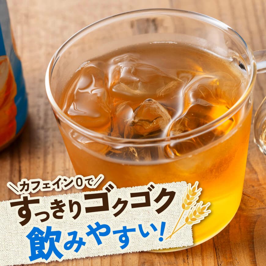 ※本数が選べる※ サンA宮崎のむぎ茶 500ml PET - 飲料 お茶 麦茶 宮崎県産 ペットボトル 水分補給 長期保存 備蓄 お届け お取り寄せ 送料無料 宮崎県 川南町 C03039 C03040