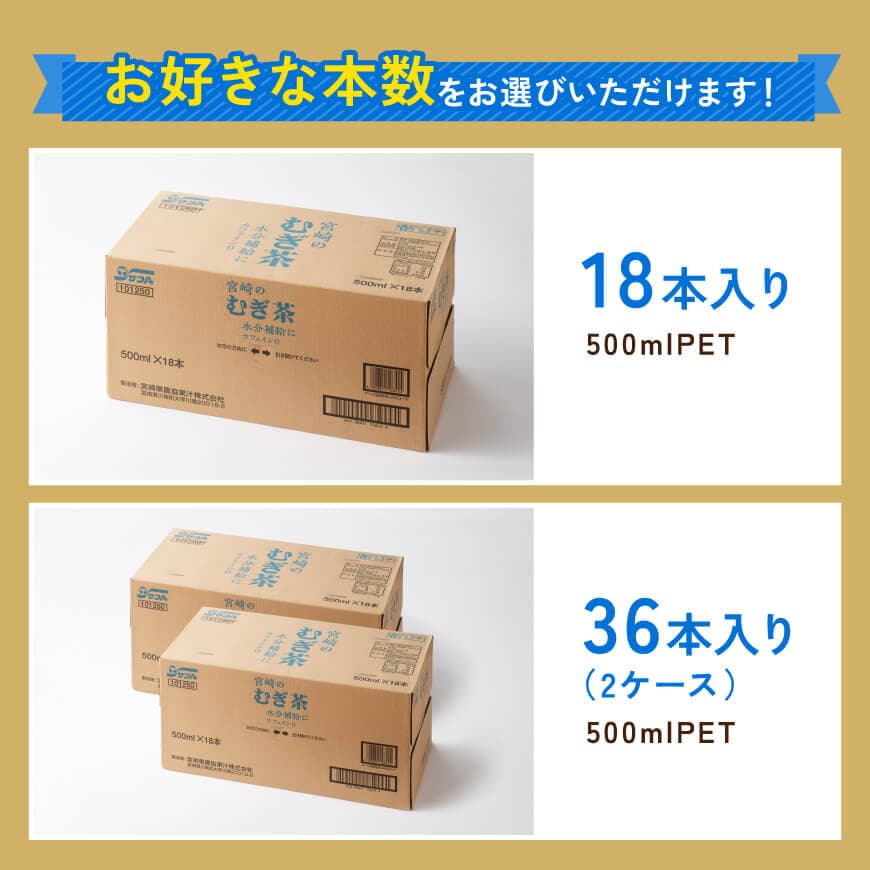 ※本数が選べる※ サンA宮崎のむぎ茶 500ml PET - 飲料 お茶 麦茶 宮崎県産 ペットボトル 水分補給 長期保存 備蓄 お届け お取り寄せ 送料無料 宮崎県 川南町 C03039 C03040