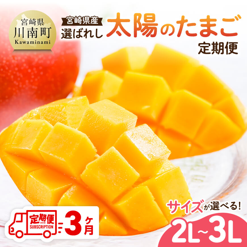 ※選べる定期便※【3ヶ月定期便】【宮崎県産】選ばれし太陽のたまご定期便2L～3L 完熟マンゴー フルーツ 川南町産 くだもの マンゴー B11704t3 B11705t3