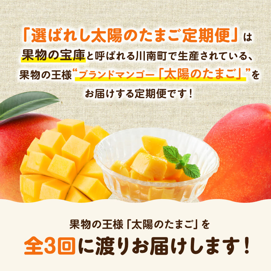 ※選べる定期便※【3ヶ月定期便】【宮崎県産】選ばれし太陽のたまご定期便2L～3L 完熟マンゴー フルーツ 川南町産 くだもの マンゴー B11704t3 B11705t3
