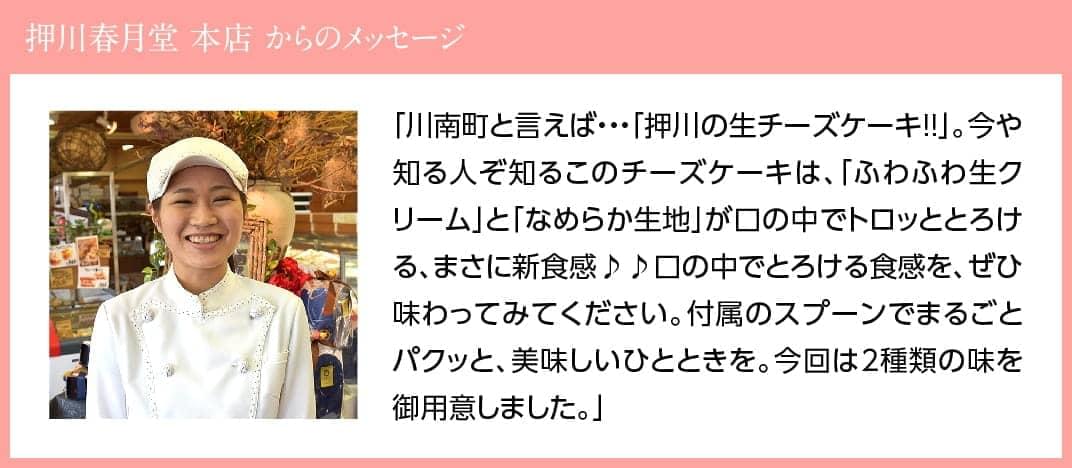 人気のとろける生チーズケーキ (チョコ×２個) + 生メロンパン１個 - 新食感 ケーキ スイーツ 生クリーム 生メロンパン ナチュラルチーズ使用 送料無料