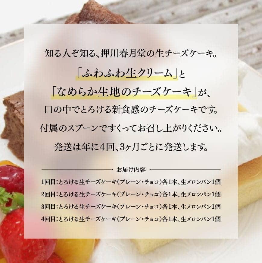 【定期便４回コース】とろける生チーズケーキ（プレーン・チョコ）+メロンパン - セット 人気の新食感 プレーン チョコ +メロンパン 送料無料 宮崎県 川南町