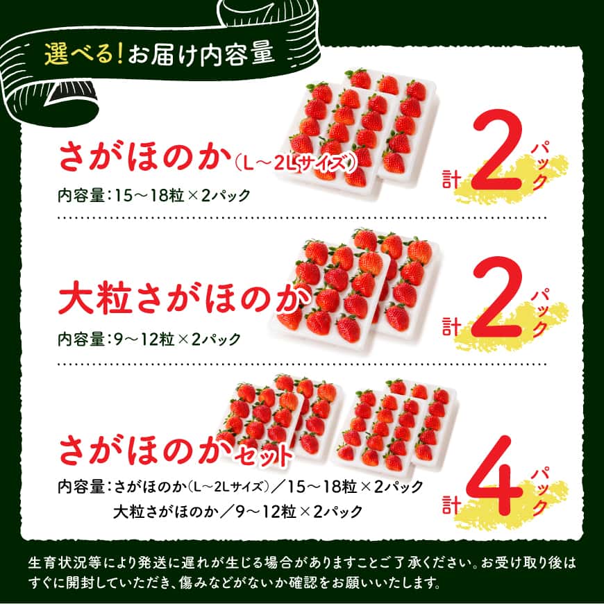※内容量が選べる※【令和9年発送】さがほのか いちご 大粒 九州産 宮崎産 川南町産 送料無料 宮崎県 川南町