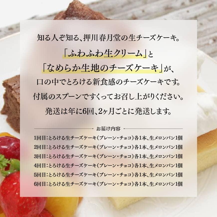 【定期便6回コース】とろける生チーズケーキ（プレーン・チョコ）+生メロンパン - セット 人気の新食感 デザート おやつ ご褒美 送料無料 宮崎県 川南町