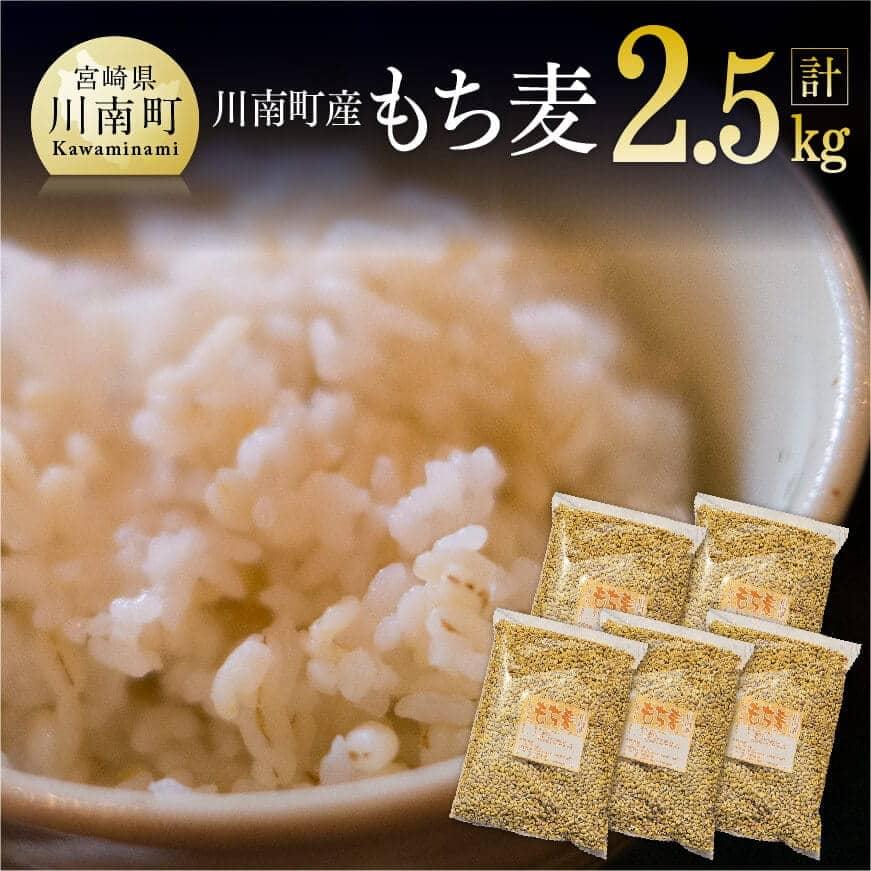 令和8年産 もち麦 2.5kg（500g×5袋） - ふるさと納税 国産 麦 もち麦 ぷちぷち食感 白米一緒に炊くだけ お米1合に大さじ2～3杯 もちむぎ