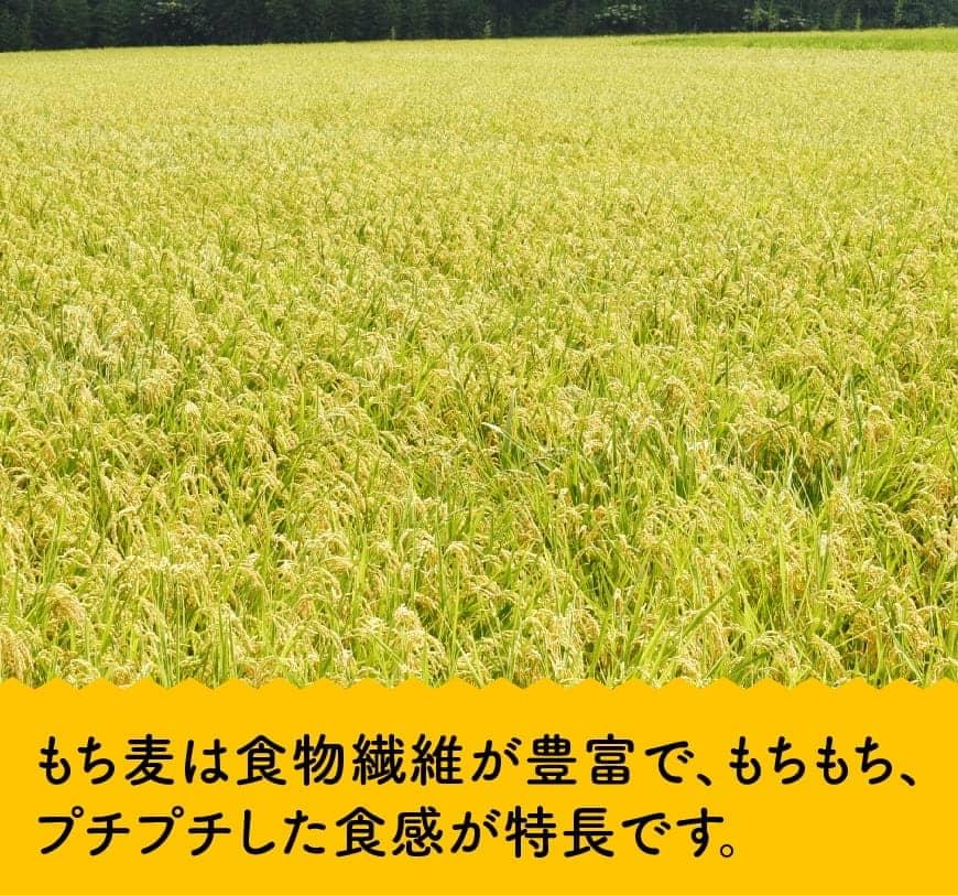 令和8年産 もち麦 2.5kg（500g×5袋） - ふるさと納税 国産 麦 もち麦 ぷちぷち食感 白米一緒に炊くだけ お米1合に大さじ2～3杯 もちむぎ