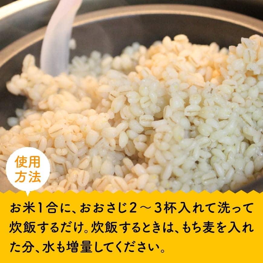 令和8年産 もち麦 2.5kg（500g×5袋） - ふるさと納税 国産 麦 もち麦 ぷちぷち食感 白米一緒に炊くだけ お米1合に大さじ2～3杯 もちむぎ