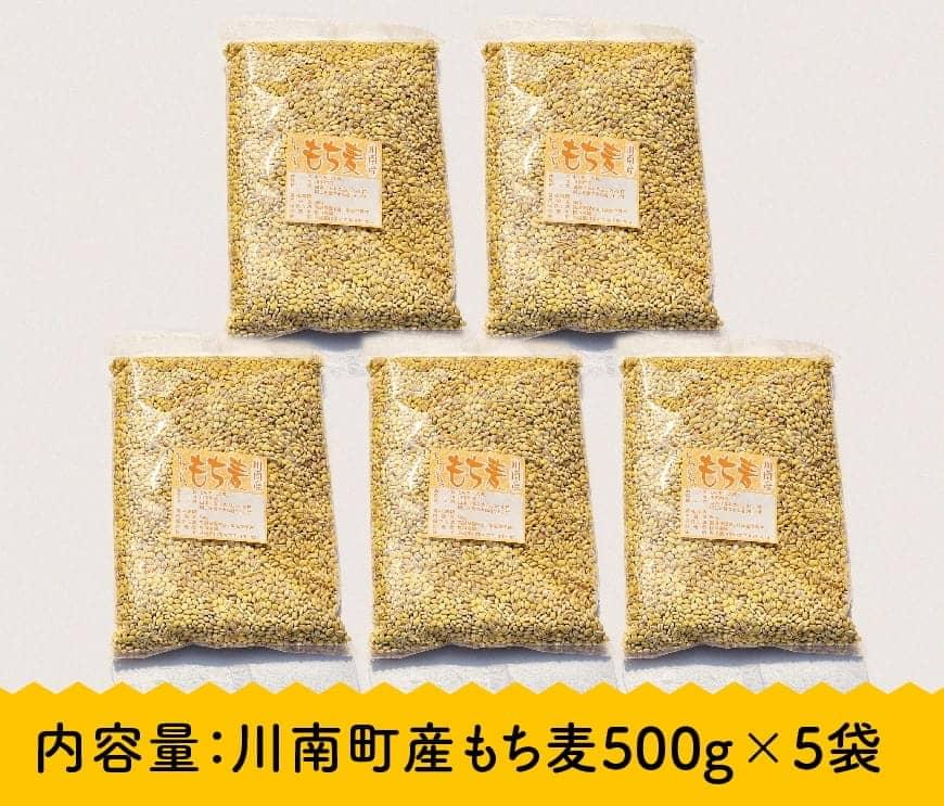 令和8年産 もち麦 2.5kg（500g×5袋） - ふるさと納税 国産 麦 もち麦 ぷちぷち食感 白米一緒に炊くだけ お米1合に大さじ2～3杯 もちむぎ