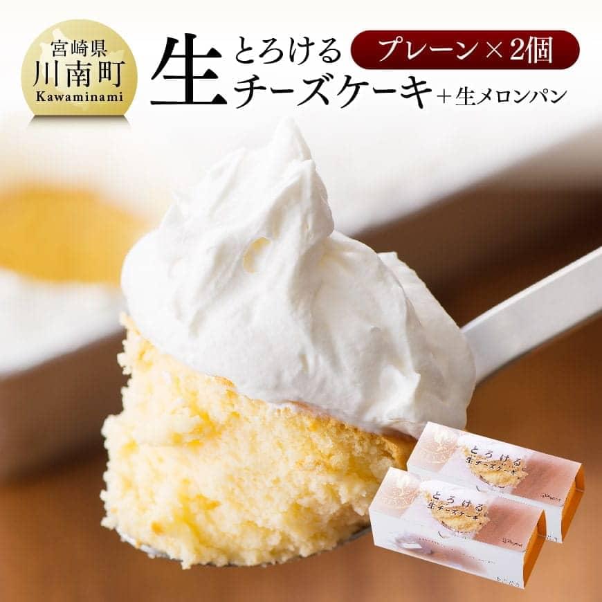 『押川春月堂本店』とろける生チーズケーキ（プレーン2個） ふわふわ生クリーム なめらか生地 とろける食感 おうち時間  送料無料宮崎県 川南町