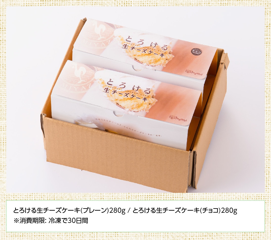『押川春月堂本店』とろける生チーズケーキセット（プレーン＆チョコ） 新食感 ケーキ スイーツ 生メロンパン付 ナチュラルチーズ使用 送料無料 宮崎県 川南町