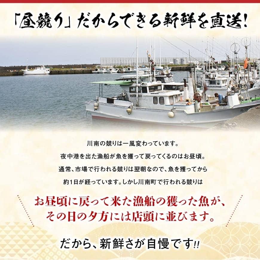※内容量が選べる※【担当者厳選!】 伊勢海老 - 先行予約 予約受付 イセエビ 伊勢えび 日向灘 黒潮 みそ汁 太平洋 イセエビ 川南漁港