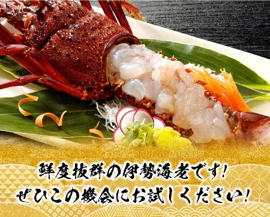※内容量が選べる※【担当者厳選!】 伊勢海老 - 先行予約 予約受付 イセエビ 伊勢えび 日向灘 黒潮 みそ汁 太平洋 イセエビ 川南漁港
