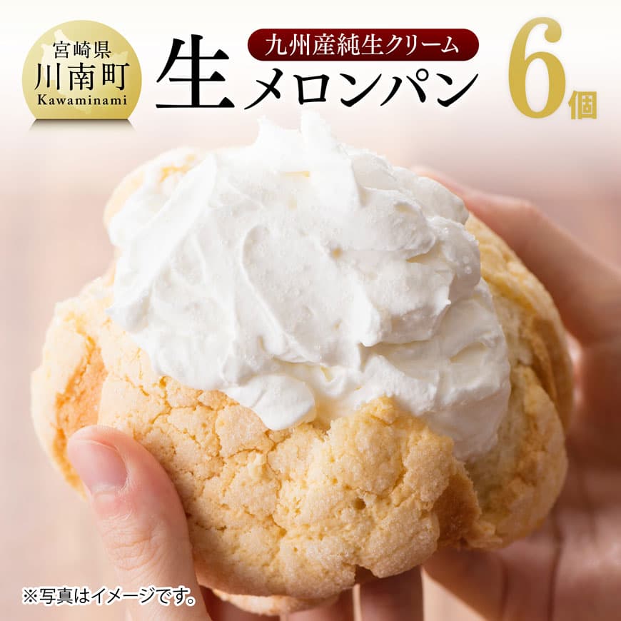 『押川春月堂本店』生メロンパン6個【スイーツ おやつ パン 大人気 生クリーム 川南町】H2706