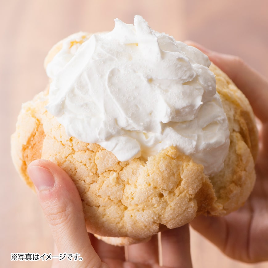 『押川春月堂本店』生メロンパン6個【スイーツ おやつ パン 大人気 生クリーム 川南町】H2706