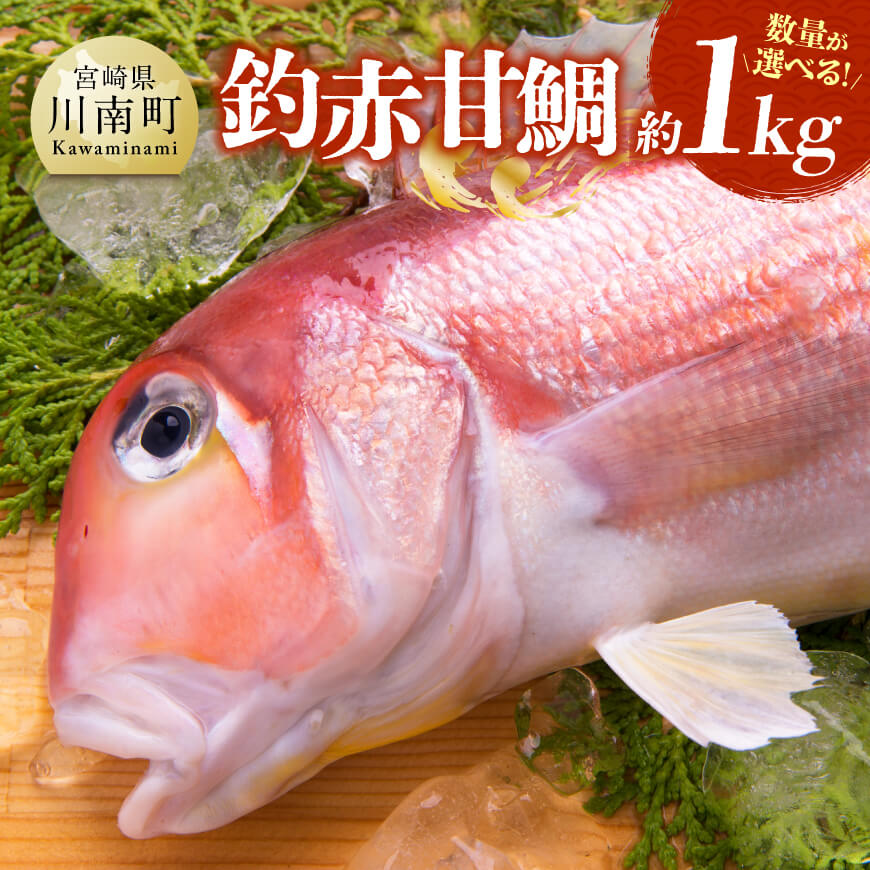 【数量が選べる】釣赤甘鯛約1kg 宮崎県産 日向灘 アマダイ 送料無料