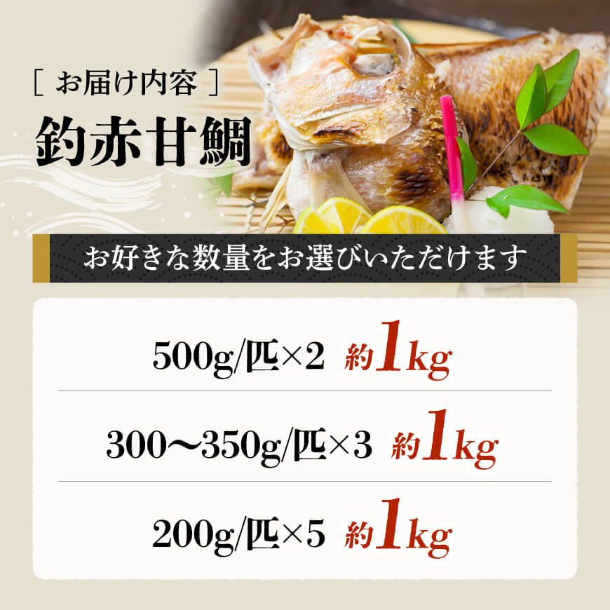 【数量が選べる】釣赤甘鯛約1kg 宮崎県産 日向灘 アマダイ 送料無料