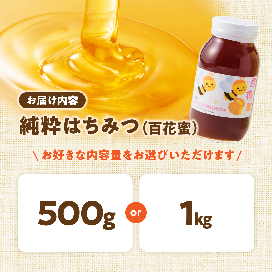 【内容量が選べる】純粋はちみつ(百花蜜)500g~1kg 日本蜜蜂 コーヒーに入れる お菓子作り 九州 おうち時間 ハチミツ 送料無料 宮崎県 川南町