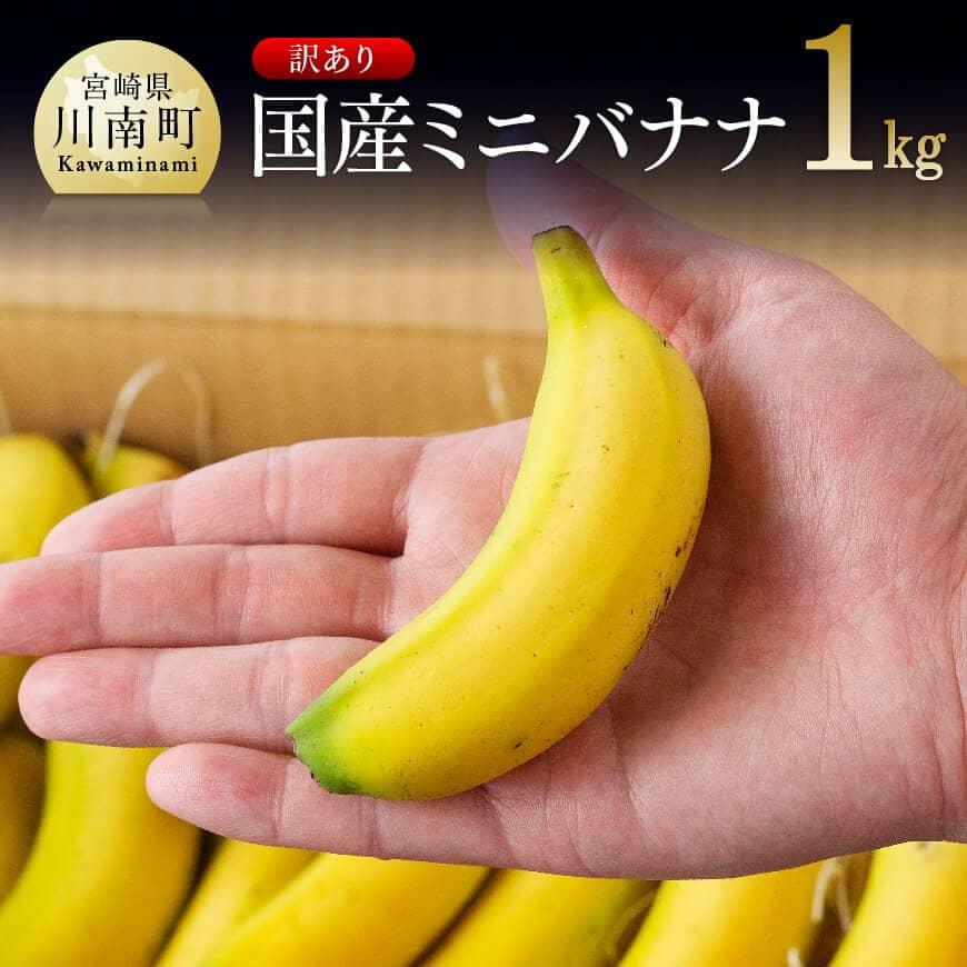 【訳あり】 国産 ミニバナナ １ｋｇ- ご自宅用や皮ごとスムージーにもオススメ！国産バナナ 九州産 宮崎県産 無農薬 フルーツ 果物 デザート 朝食 スムージー おやつ 夜食