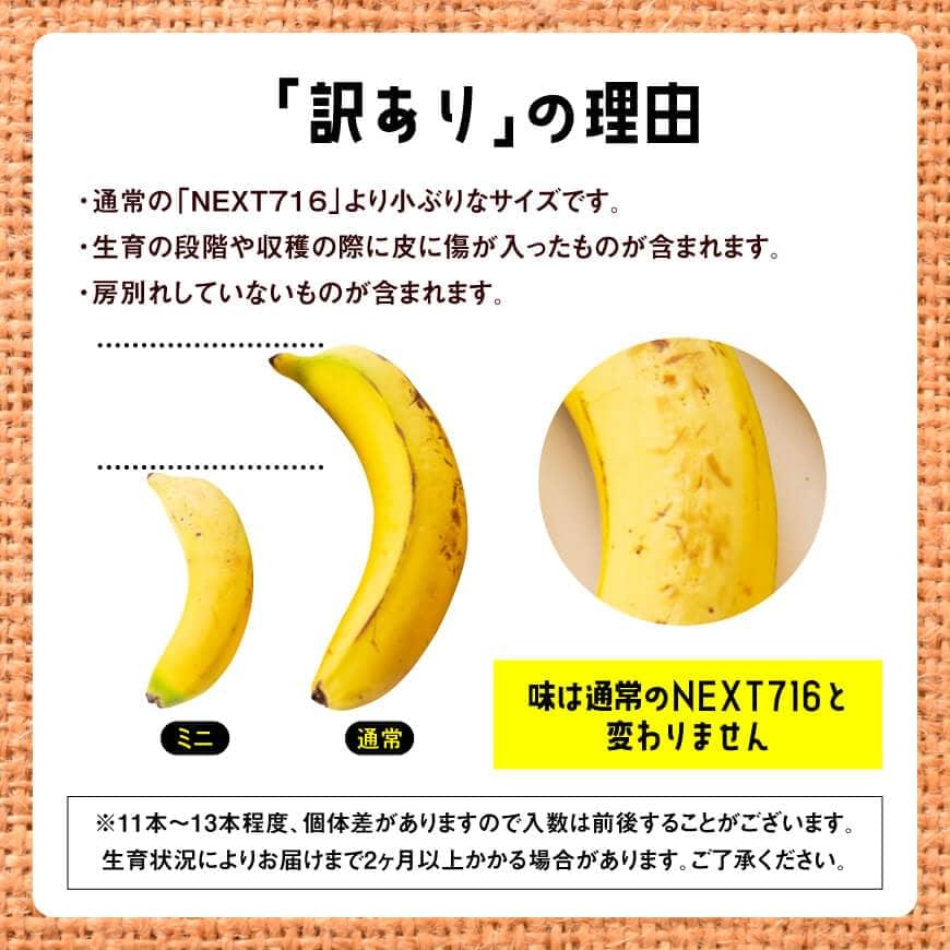 【訳あり】 国産 ミニバナナ １ｋｇ- ご自宅用や皮ごとスムージーにもオススメ！国産バナナ 九州産 宮崎県産 無農薬 フルーツ 果物 デザート 朝食 スムージー おやつ 夜食