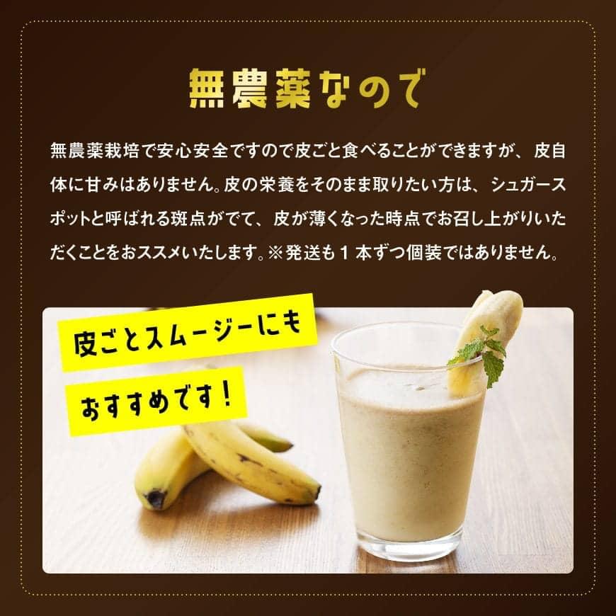 【訳あり】 国産 ミニバナナ １ｋｇ- ご自宅用や皮ごとスムージーにもオススメ！国産バナナ 九州産 宮崎県産 無農薬 フルーツ 果物 デザート 朝食 スムージー おやつ 夜食