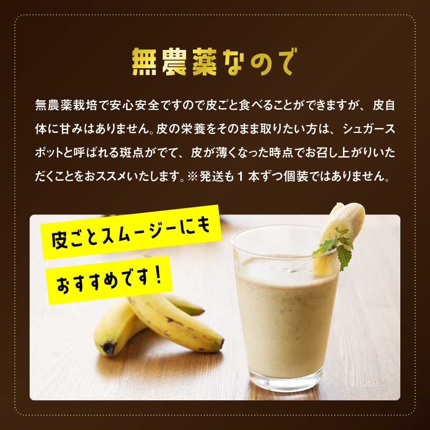 【回数が選べる】【訳あり】国産バナナ1kg 1回・定期便 ご自宅用 皮ごとスムージー ネクストファーム 宮崎県 川南町 送料無料