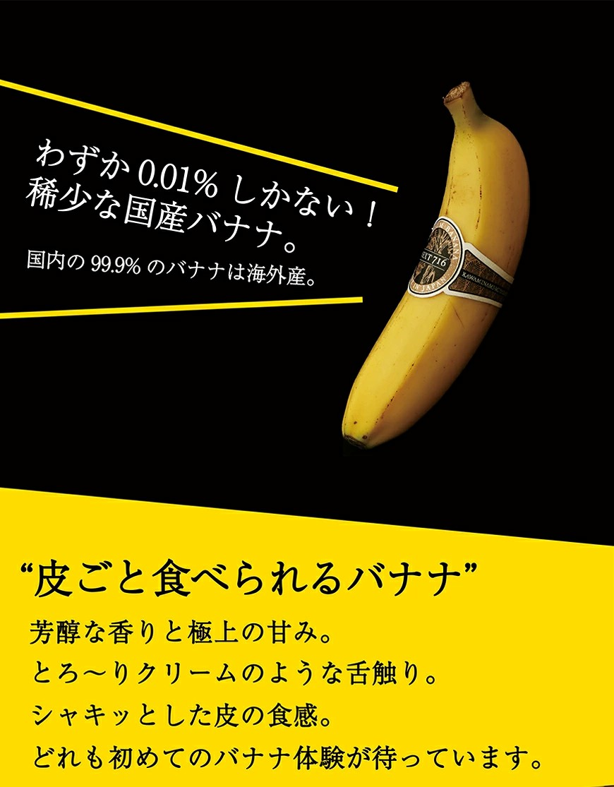 【内容量が選べる】そのままガブリ!皮まで食べられるバナナ「NEXT716」6~12本 希少な国産バナナ 糖度が高くねっとりとした食感が特徴 送料無料 宮崎県 川南町