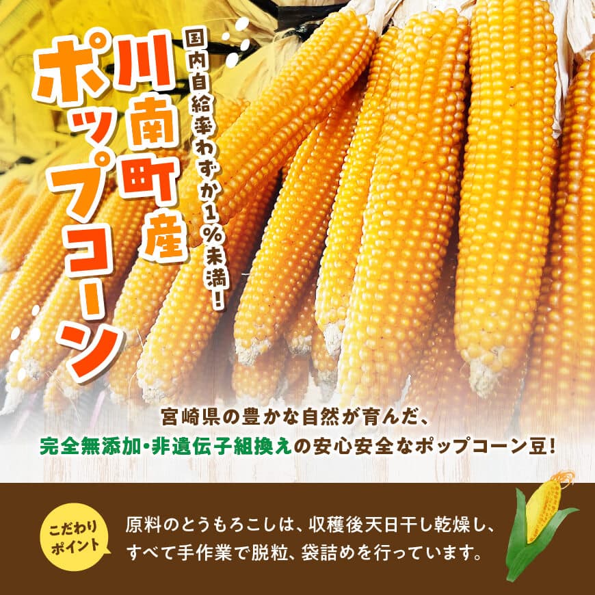 【内容量が選べる】国産ポップコーン用「乾燥とうもろこし」250～500g 小分け 個包装50gパック 希少な国産 宮崎県産 川南町産 送料無料