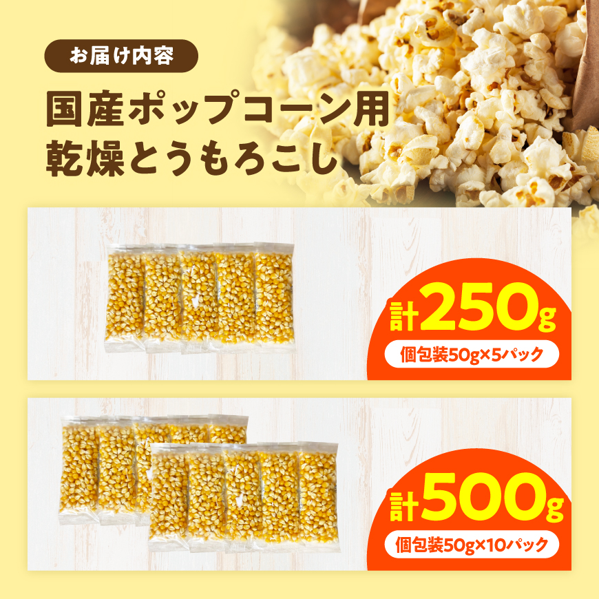 【内容量が選べる】国産ポップコーン用「乾燥とうもろこし」250～500g 小分け 個包装50gパック 希少な国産 宮崎県産 川南町産 送料無料