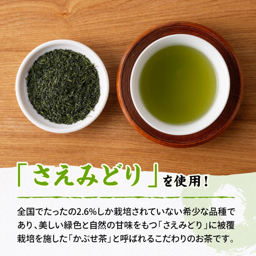【内容が選べる】老舗六車農園産 宮崎県産茶10袋セット 深蒸煎茶 ほうじ茶 かぶせ茶 九州産 宮崎県産 川南町産 送料無料
