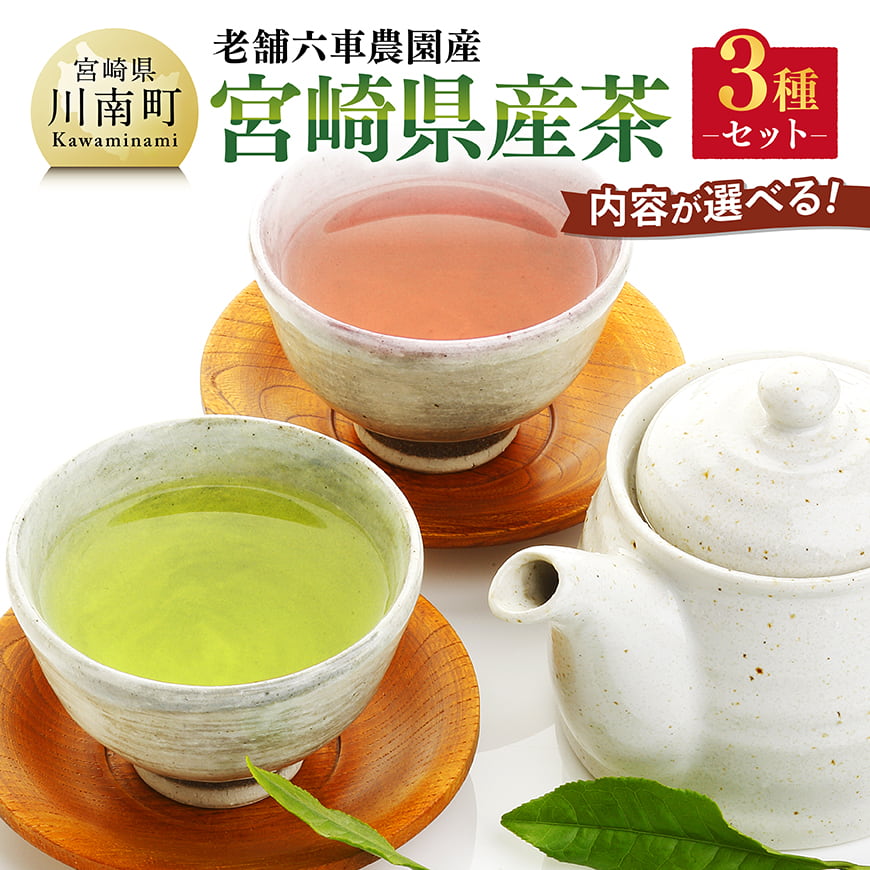 【内容が選べる】老舗六車農園産 宮崎県産茶3種セット お茶 3種 深蒸し 煎茶 ほうじ茶 お湯出し 水出し九州産 宮崎県産 川南町産 ティーバック