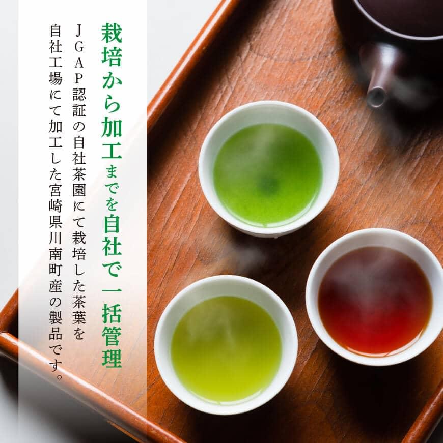 【内容が選べる】老舗六車農園産 宮崎県産茶3種セット お茶 3種 深蒸し 煎茶 ほうじ茶 お湯出し 水出し九州産 宮崎県産 川南町産 ティーバック