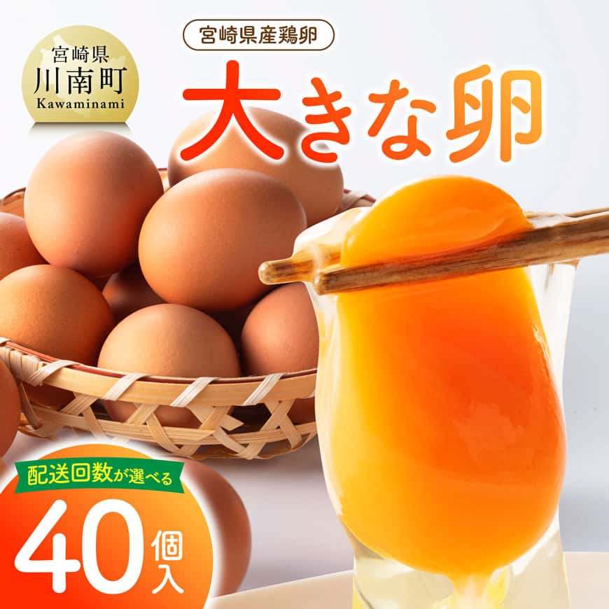 ※回数が選べる※ 宮崎県産鶏卵　「南国からの贈り物」大きな卵40個入り（35個+破損補償5個） - たまご 国産卵 おうち時間 おうちごはん 九州 宮崎県 送料無料 川南町