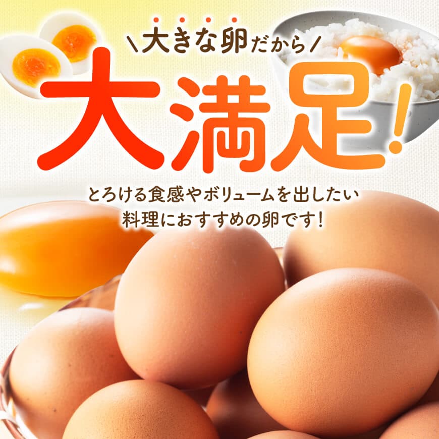 ※回数が選べる※ 宮崎県産鶏卵　「南国からの贈り物」大きな卵40個入り（35個+破損補償5個） - たまご 国産卵 おうち時間 おうちごはん 九州 宮崎県 送料無料 川南町
