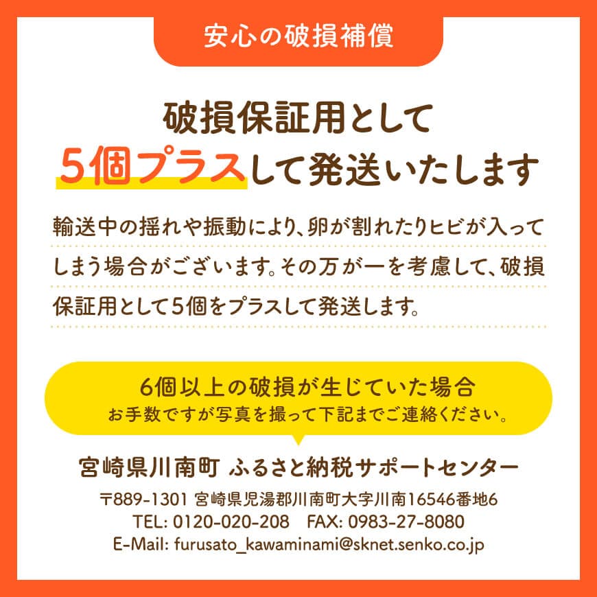 ※回数が選べる※ 宮崎県産鶏卵　「南国からの贈り物」大きな卵40個入り（35個+破損補償5個） - たまご 国産卵 おうち時間 おうちごはん 九州 宮崎県 送料無料 川南町