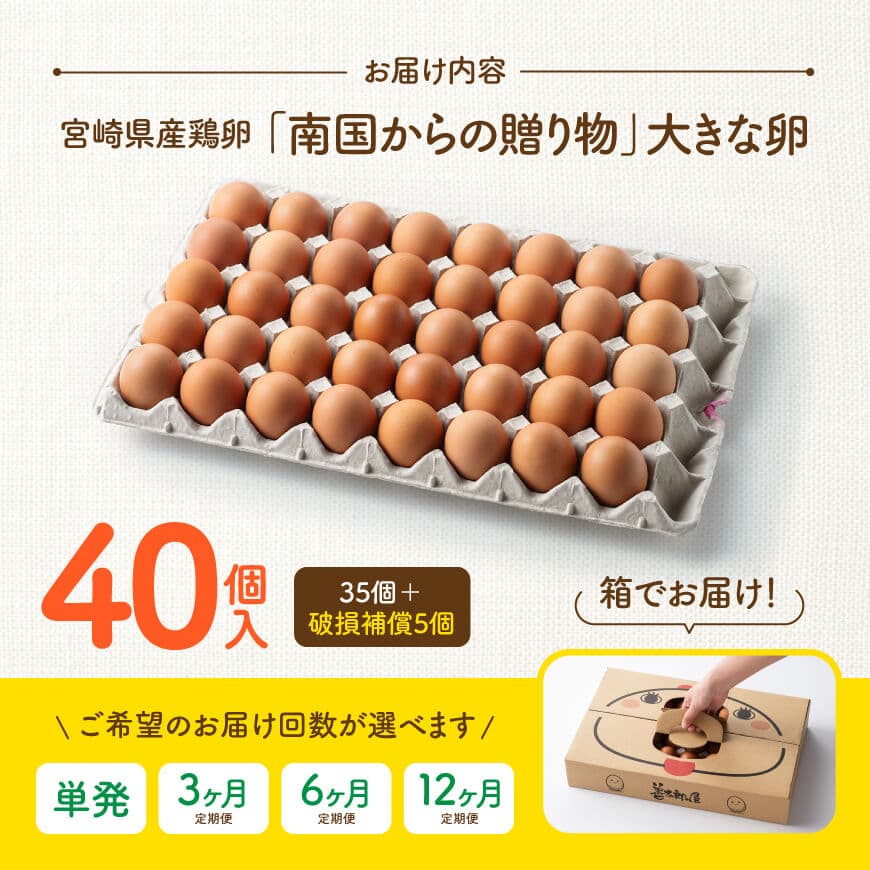 ※回数が選べる※ 宮崎県産鶏卵　「南国からの贈り物」大きな卵40個入り（35個+破損補償5個） - たまご 国産卵 おうち時間 おうちごはん 九州 宮崎県 送料無料 川南町