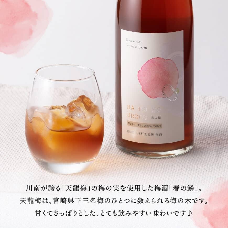 ※種類が選べる※オリジナル本格焼酎・オリジナル梅酒 お酒 アルコール 酒 焼酎 梅酒