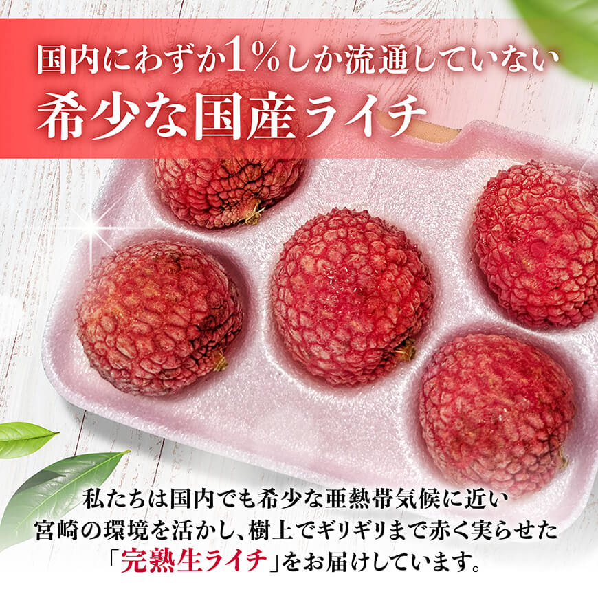 ※サイズが選べる※【令和9年産】川南町産ライチ10粒(5粒×2パック) - 完熟生ライチ 果物 完熟 もぎたての味 ジューシー 果汁たっぷり 希少な国産