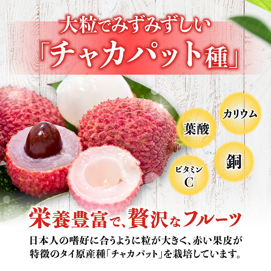 ※サイズが選べる※【令和9年産】川南町産ライチ10粒(5粒×2パック) - 完熟生ライチ 果物 完熟 もぎたての味 ジューシー 果汁たっぷり 希少な国産