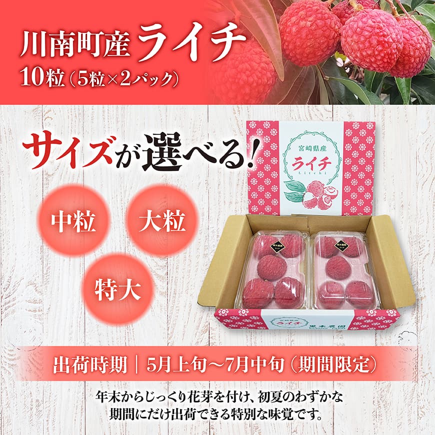 ※サイズが選べる※【令和9年産】川南町産ライチ10粒(5粒×2パック) - 完熟生ライチ 果物 完熟 もぎたての味 ジューシー 果汁たっぷり 希少な国産