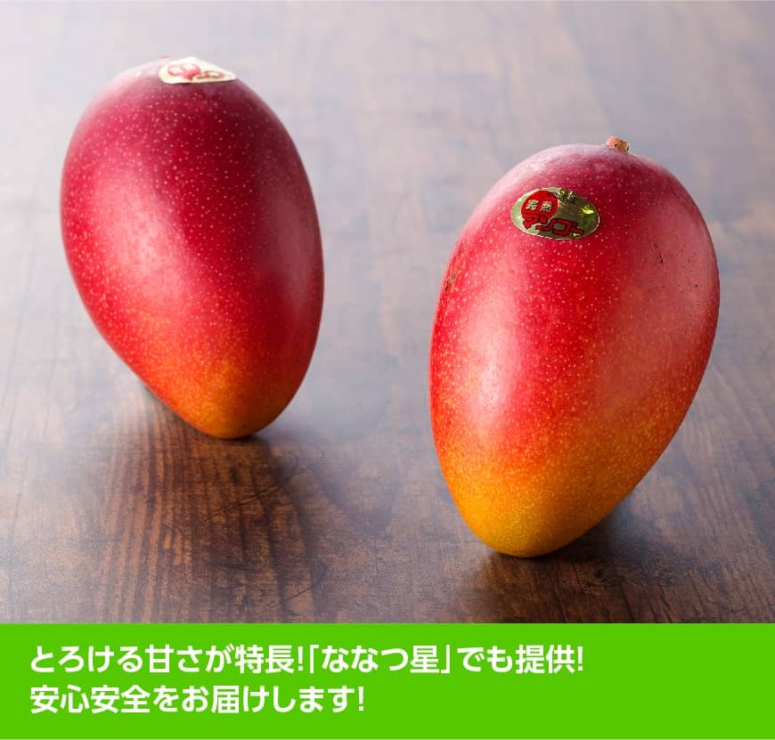 ≪先行受付≫※内容量が選べる※【令和9年発送】宮崎県産完熟マンゴー「おひさまハニーマンゴー」L~4L 果物 フルーツ マンゴー 宮崎県産 完熟マンゴー