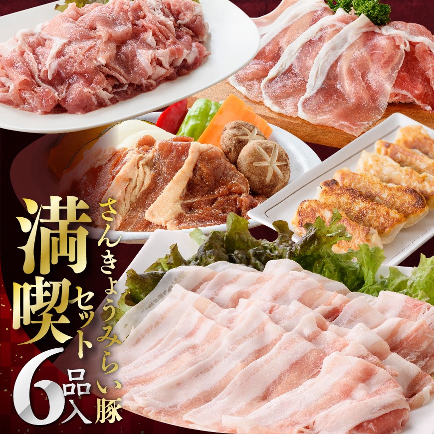 【令和8年11月発送】小分けで使いやすい！さんきょうみらい豚満喫セット 豚肉 セット