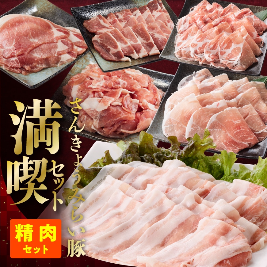 【令和8年11月発送】さんきょうみらい豚満喫セット（精肉） 【 満喫 セット 精肉 豚肉 宮崎県産 川南町産 バラ 肩ロース ウデ モモ しゃぶしゃぶ スライス 】