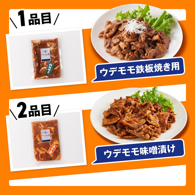 【令和8年11月発送】さんきょうみらい豚 満喫セット （加工品） 【 満喫 セット 精肉 豚肉 国産 九州産 宮崎県産 川南町産 ウデ モモ 鉄板焼き みそ漬け 味噌漬け 生ハム ハンバーグ 簡単調理】