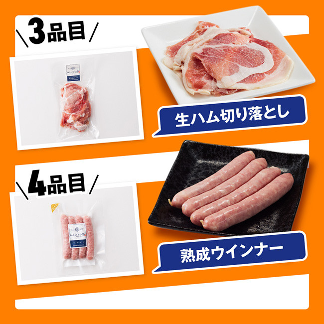 【令和8年11月発送】さんきょうみらい豚 満喫セット （加工品） 【 満喫 セット 精肉 豚肉 国産 九州産 宮崎県産 川南町産 ウデ モモ 鉄板焼き みそ漬け 味噌漬け 生ハム ハンバーグ 簡単調理】