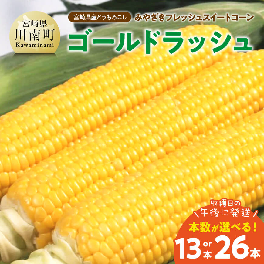 ※本数が選べる※　宮崎県産とうもろこし「ゴールドラッシュ」【令和9年発送】- みやざきフレッシュスイートコーン