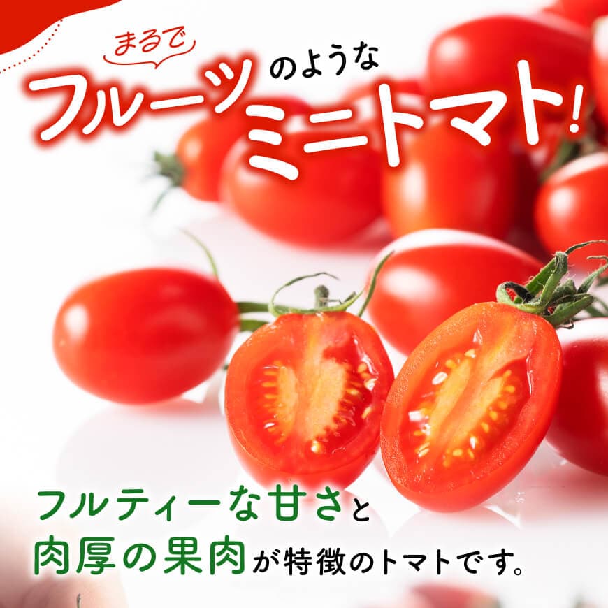 宮崎県産ミニトマト「アイコ」3kg - 宮崎県産 ミニトマト とまと 送料無料 川南町