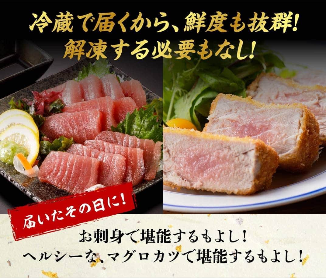 漁協直送！キハダマグロブロック（生）1kg 鮪 まぐろ 刺身 マグロ 漬け 新鮮 冷蔵 海の幸 魚介 送料無料
